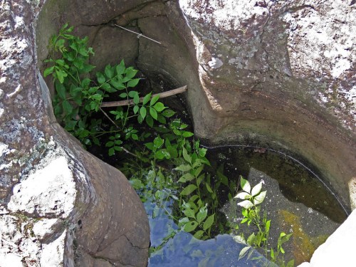 A natural rock formation with a small pool of water, surrounded by green plants and moss.