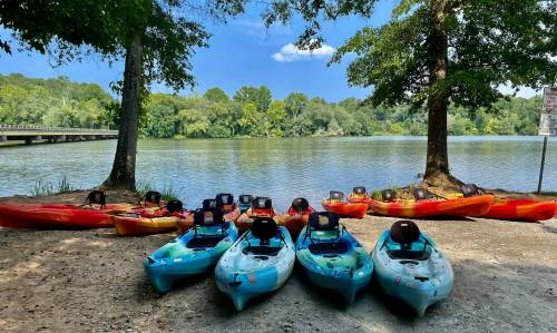 Colorful kayaks lined up on a shore by a calm lake, surrounded by trees and a clear blue sky.