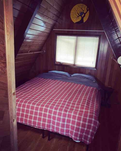 Cozy wooden bedroom with a plaid bedspread, two pillows, and a tree mural on the wall. Natural light from a window.