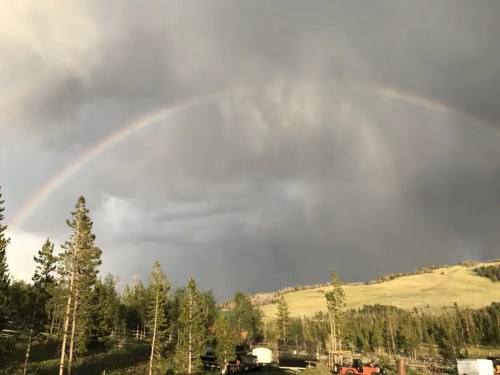 A vibrant rainbow arcs over a forested landscape under a cloudy sky.