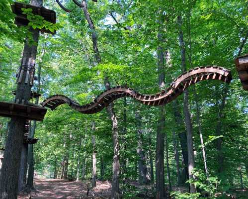 A winding wooden bridge suspended between trees in a lush green forest.