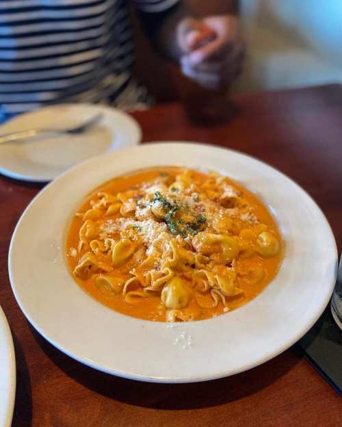 A plate of creamy pasta topped with herbs and cheese, served on a wooden table.