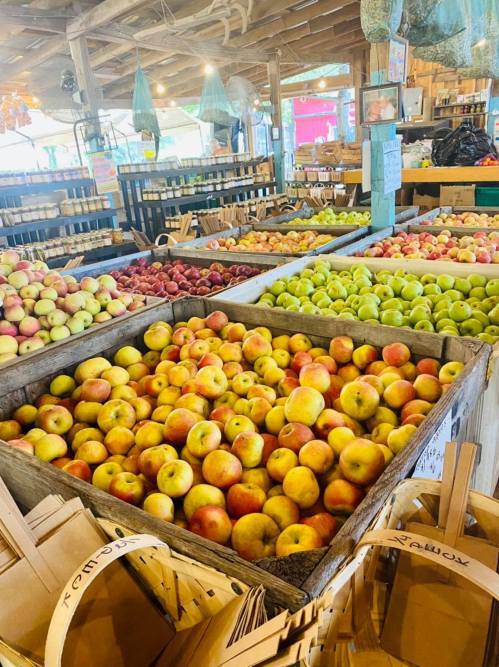 A vibrant market display featuring various types of apples in wooden bins, surrounded by colorful produce.