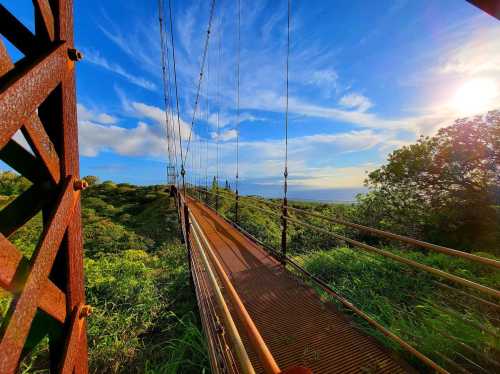 A suspension bridge surrounded by lush greenery under a bright blue sky with fluffy clouds and a setting sun.