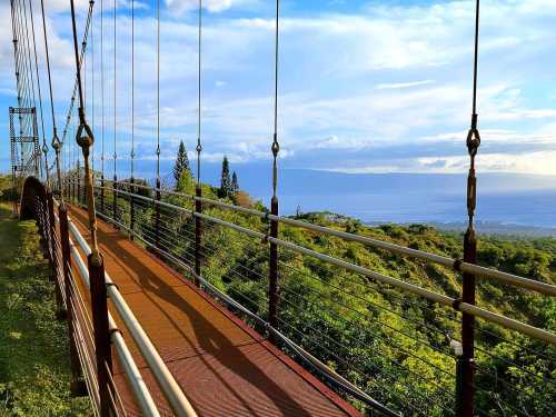 A suspension bridge surrounded by lush greenery, with a scenic view of the ocean and sky in the background.