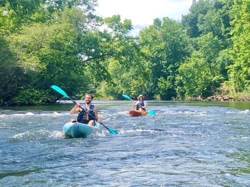 Two people kayaking on a river surrounded by lush green trees on a sunny day.