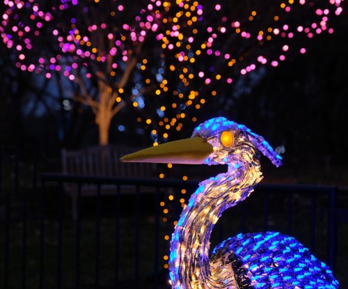 A brightly lit blue heron sculpture in front of a tree adorned with colorful lights at dusk.