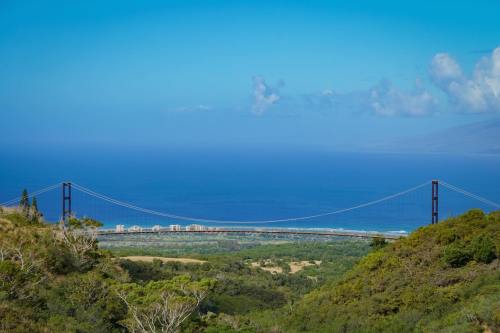 A scenic view of a suspension bridge over a blue ocean, surrounded by lush greenery and a clear sky.