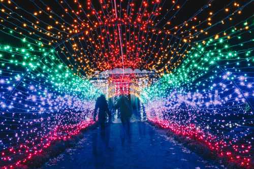 A colorful tunnel of lights in green, blue, and red, with silhouettes of people walking through it at night.