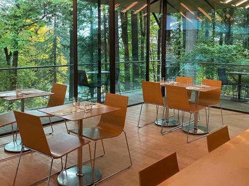 A modern dining area with wooden tables and chairs, surrounded by large windows overlooking a forest.