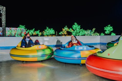 Two people in colorful bumper cars on an ice rink, surrounded by illuminated trees at night.