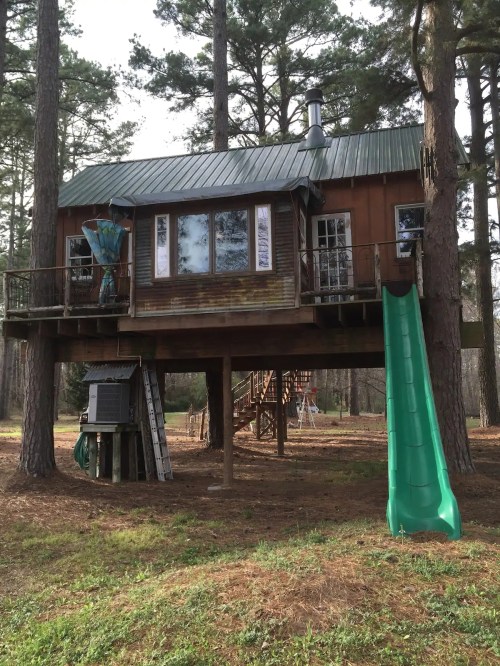 A wooden treehouse with a green slide, surrounded by tall trees and a grassy area.