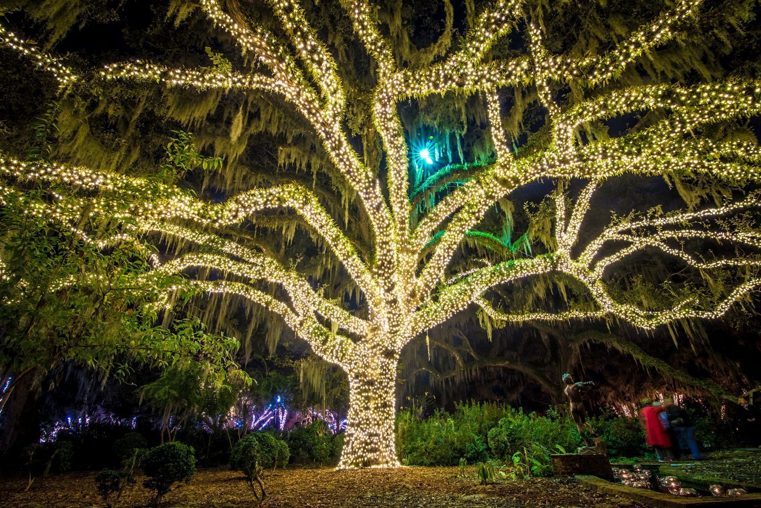 Christmas Lights At Brookgreen Gardens, SC Are Holiday Magic