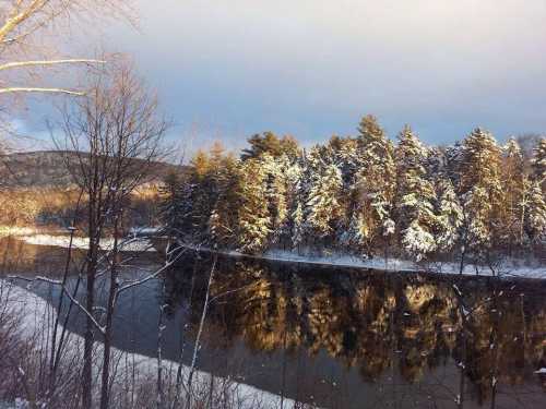 A serene winter landscape featuring a river reflecting snow-covered trees and a soft, cloudy sky.