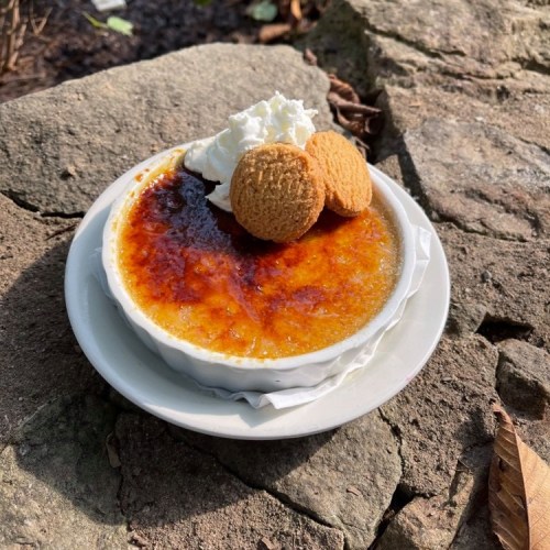 A creamy dessert in a bowl topped with whipped cream and cookies, resting on a stone surface outdoors.