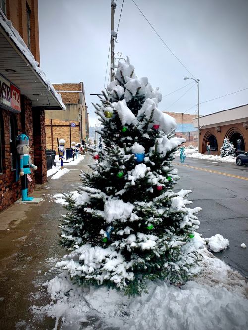A snow-covered Christmas tree adorned with colorful ornaments stands on a snowy street.