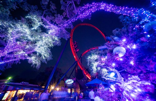 A vibrant amusement park scene at night, featuring a red roller coaster and purple holiday lights among trees.