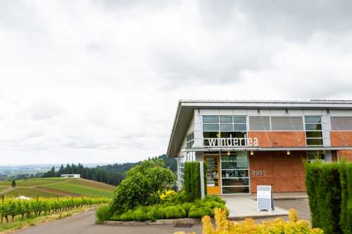 Modern winery building with large windows, surrounded by lush vineyards under a cloudy sky.