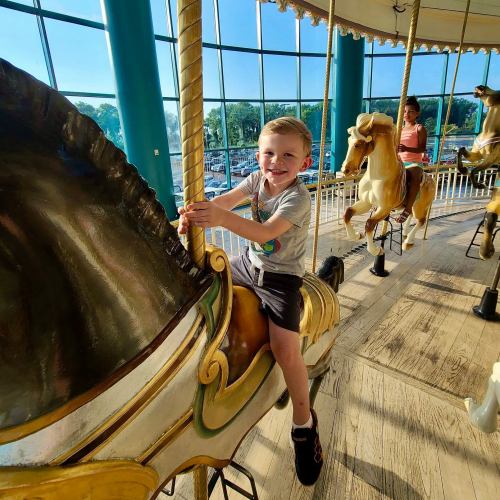 A young boy smiles while riding a carousel horse, with other horses and bright sunlight in the background.