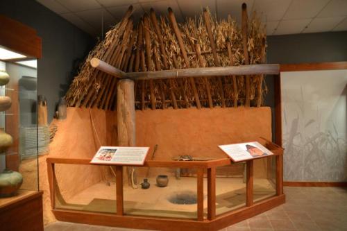 A replica of a traditional dwelling with a thatched roof, surrounded by informational displays in a museum setting.