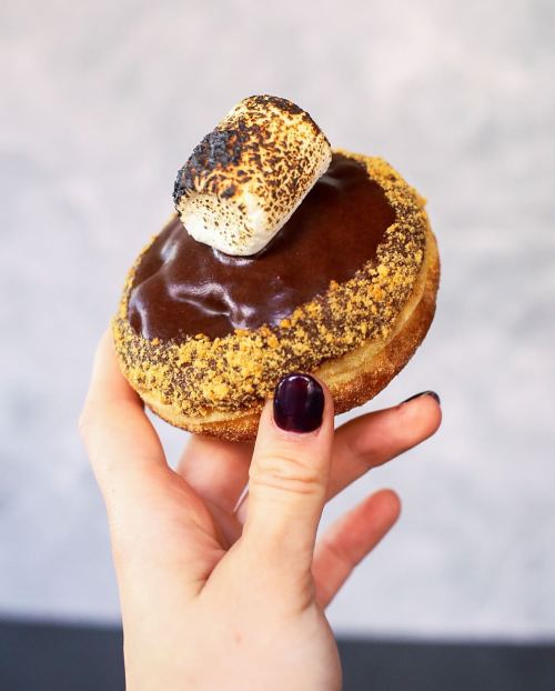 A hand holding a donut topped with chocolate glaze, crushed graham crackers, and a toasted marshmallow.