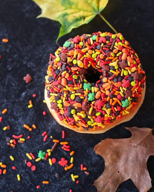 A colorful donut topped with chocolate icing and vibrant fall-themed sprinkles, surrounded by autumn leaves.