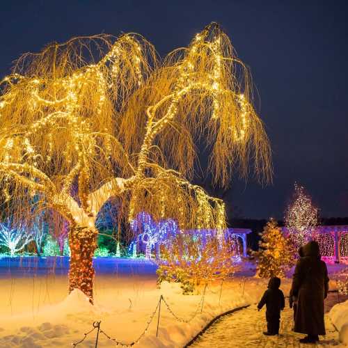 A snowy landscape featuring a lit-up tree and colorful holiday lights in the background, with a person and child walking.