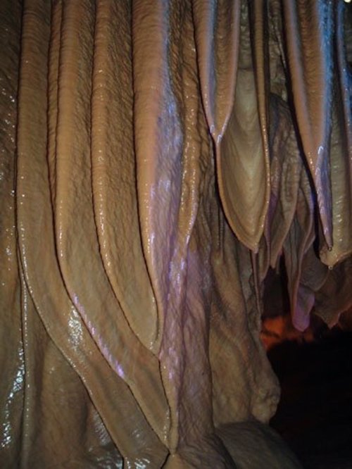 Close-up of textured cave formations with smooth, flowing shapes and subtle lighting effects.