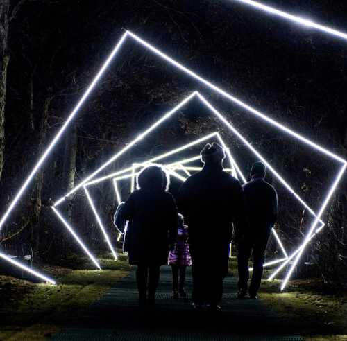 A group of people walking through a dark path illuminated by geometric white light installations.