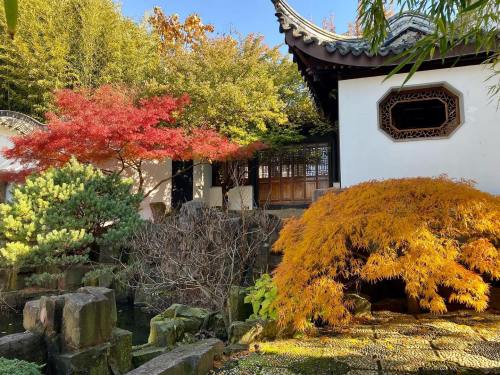 A serene garden scene featuring vibrant autumn foliage, a traditional building, and a tranquil pond.