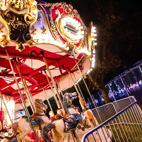 A brightly lit carousel with ornate decorations and colorful horses, set against a backdrop of festive lights.
