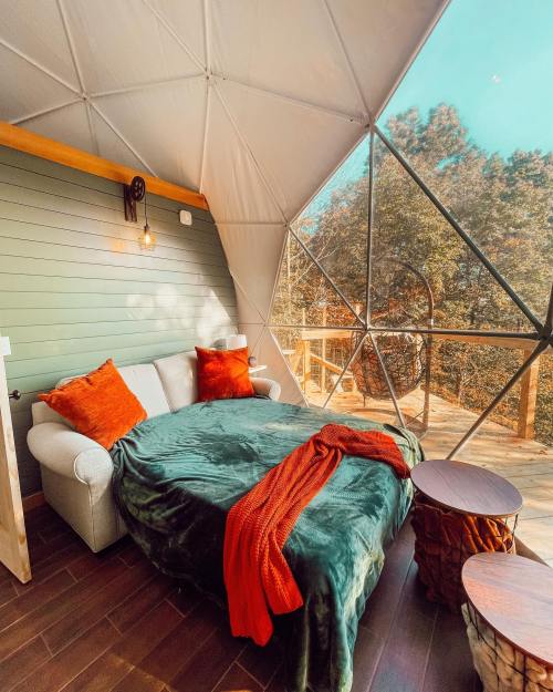 Cozy interior of a geodesic dome with a bed, cushions, and wooden tables, surrounded by nature.