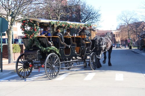 A decorated horse-drawn carriage with passengers rides down a city street, surrounded by trees and buildings.