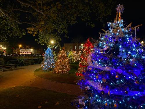 Colorful Christmas trees adorned with lights in a park at night, surrounded by festive decorations.