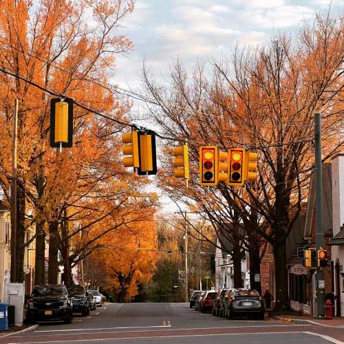 Traffic lights hang above a tree-lined street with vibrant autumn foliage in shades of orange and yellow.