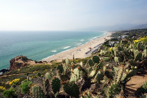 A scenic view of a beach with waves, sandy shore, and cacti in the foreground under a clear sky.