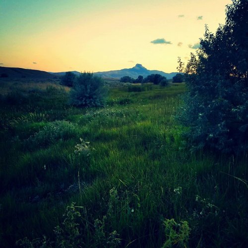 A serene landscape featuring green grass and shrubs, with a distant mountain under a colorful sunset sky.