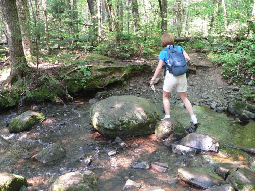 A person with a backpack carefully crosses a stream by stepping on rocks in a lush, green forest.