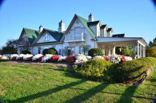 A charming white house with a green roof, surrounded by colorful flower beds and lush greenery under a clear blue sky.