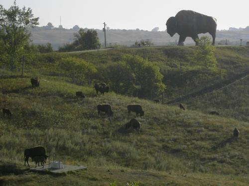 A large bison statue overlooks a grassy landscape with several real bison grazing below.