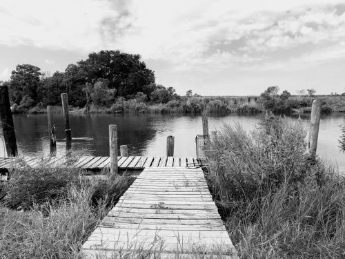 A wooden dock extends into a calm river, surrounded by lush greenery and a cloudy sky in black and white.