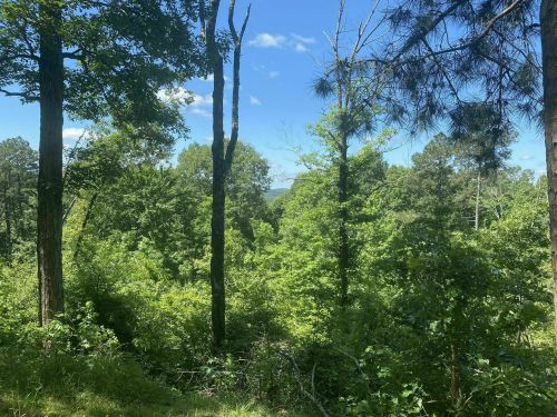 Lush green trees and foliage under a blue sky, with distant hills visible through the forest.