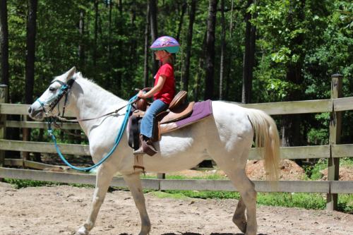 A child in a helmet rides a white horse along a dirt path, surrounded by trees and a wooden fence.