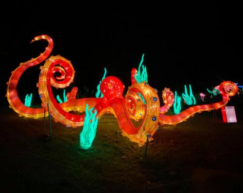 A large, illuminated octopus sculpture with swirling tentacles and glowing green seaweed, set against a dark background.