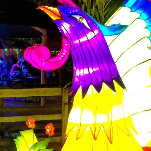 A colorful, illuminated bird sculpture with vibrant feathers, set against a festive background with people and lights.
