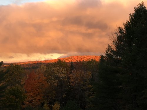 A vibrant autumn landscape with colorful trees and a mountain bathed in warm sunset light under a cloudy sky.