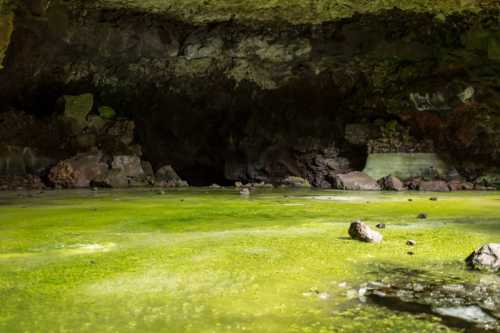 A dimly lit cave with a green, mossy floor and rocky formations, reflecting a serene, natural environment.