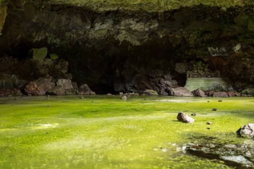 A dimly lit cave with a green, mossy floor and rocky formations, reflecting a serene, natural environment.