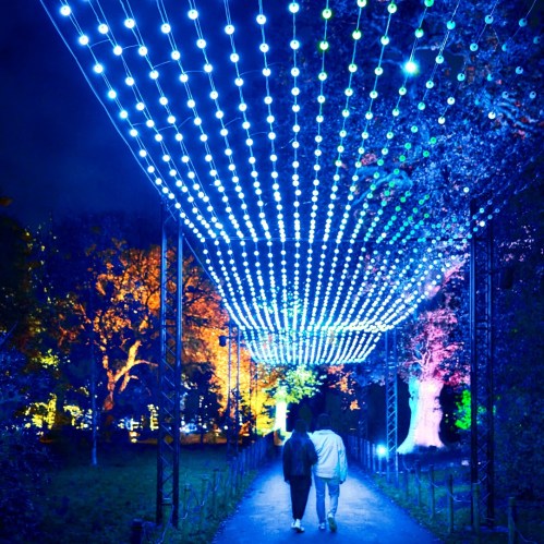 A couple walks under a canopy of blue lights in a vibrant, illuminated park at night.