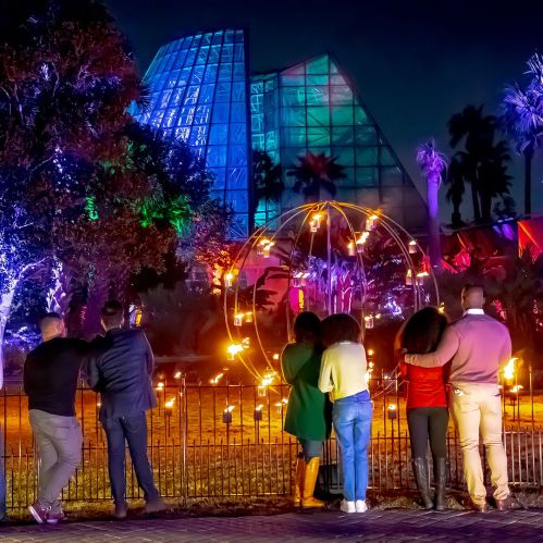 A group of people stands by a colorful, illuminated garden at night, with vibrant lights and a glass structure in the background.